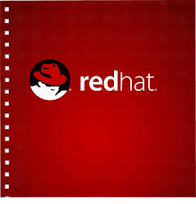 Red Hat Network Satellite Standard subscription (1 year) + 1 Year 24x7 Support - electronic - Linux - Licence Qty: 1 licence