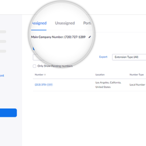 Zoom Phone Additional Phone Number Subscription licence