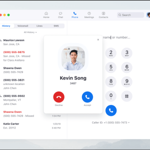 Zoom Phone Pro Subscription licence (2 years) - 1 user - volume, prepaid - Tier 8 (7500-9999)