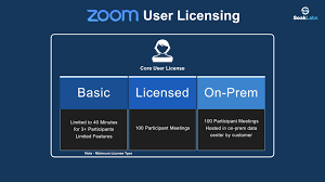 Zoom Phone Additional Phone Number Subscription licence Tier 10 (25000+)