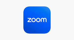 Zoom United Subscription licence - prepaid - United Kingdom